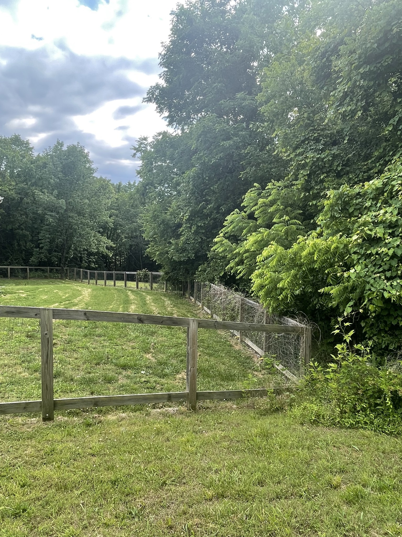 511 Franklin Road Gallatin, TN 37066 - Photo 35 of 47 a view of a field with a tree