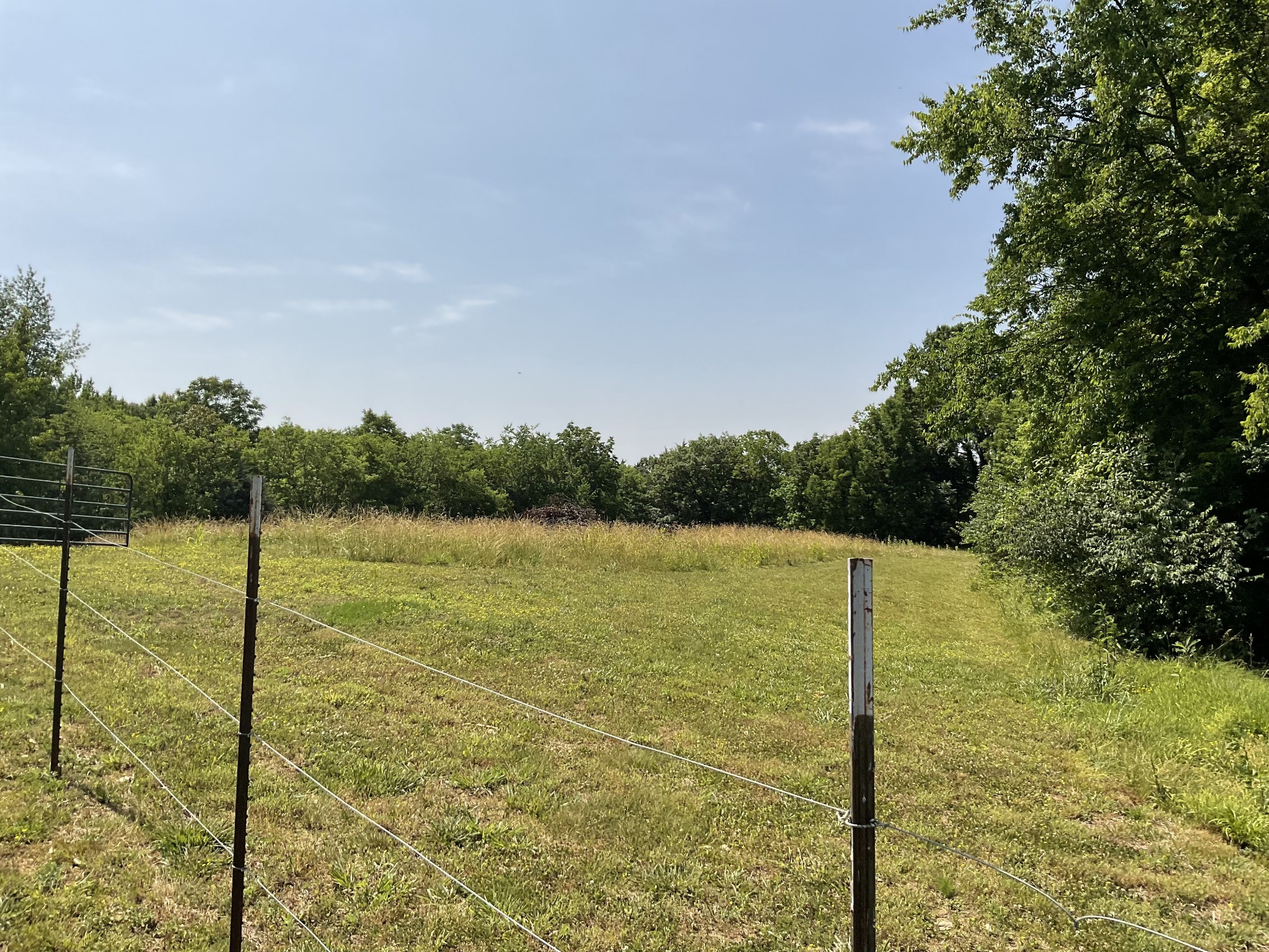 511 Franklin Road Gallatin, TN 37066 - Photo 36 of 47