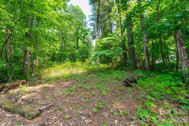 $100,000 | Tbd Woodfin Road, Sylva, NC 28779
