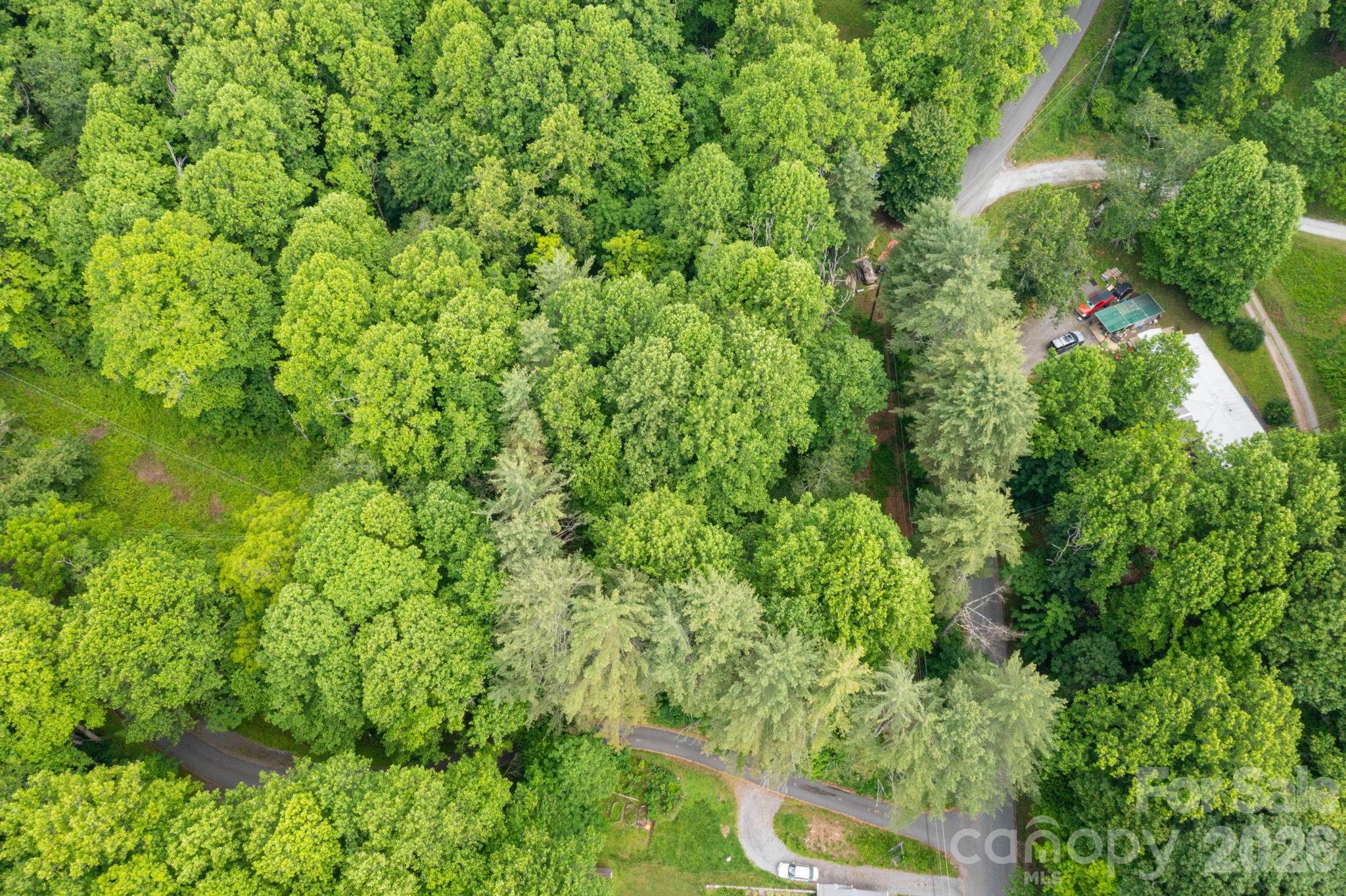 Tbd Woodfin Road Sylva, NC 28779 - Photo 11 of 21