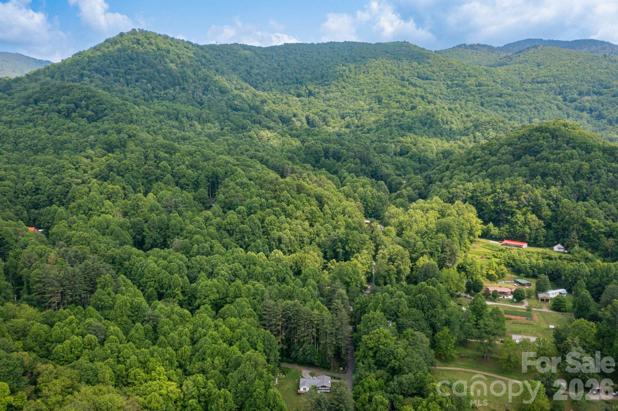 Tbd Woodfin Road Sylva, NC 28779 - Photo 13 of 21