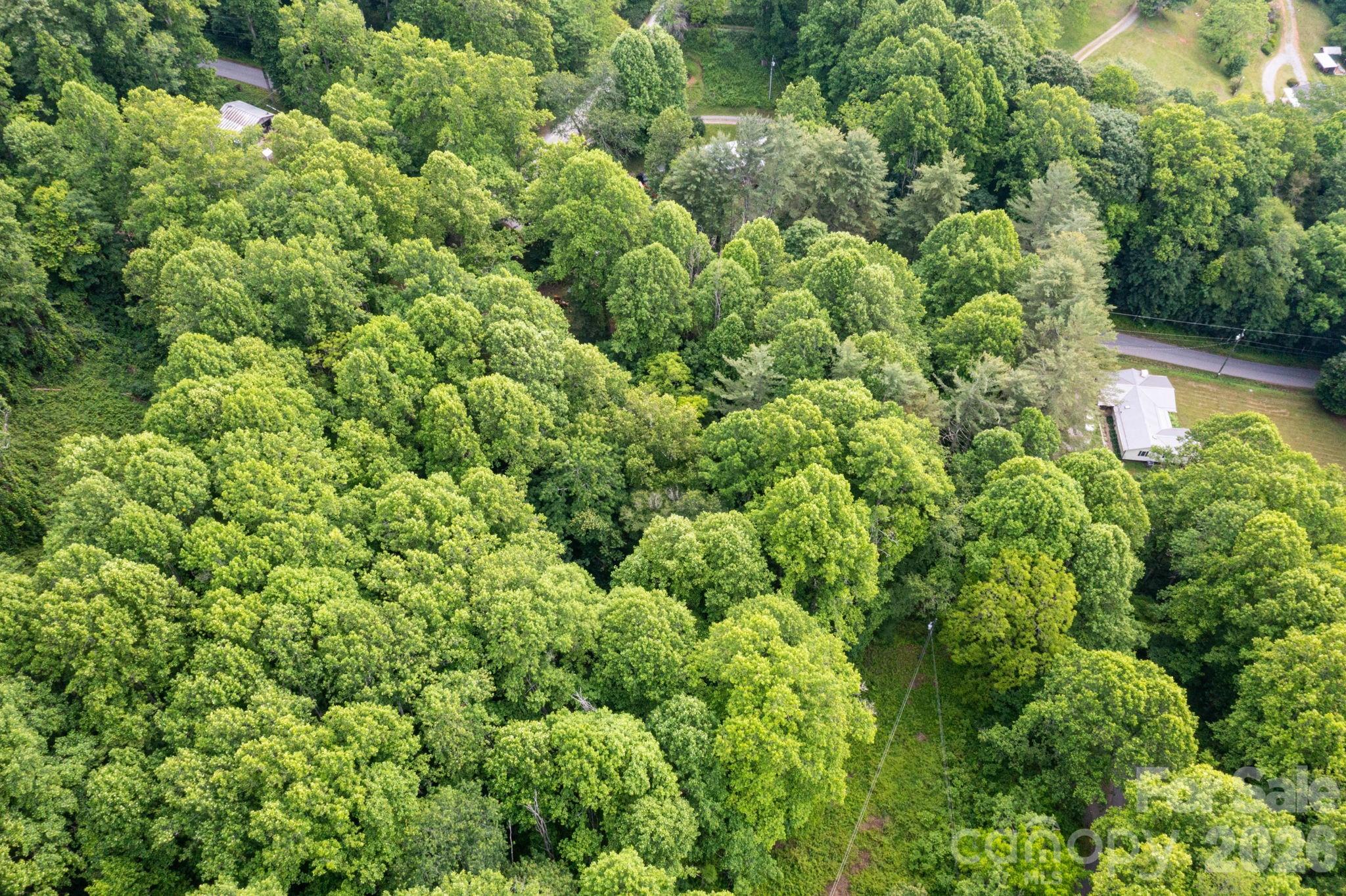 Tbd Woodfin Road Sylva, NC 28779 - Photo 15 of 21