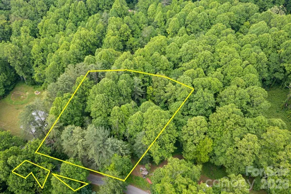 a view of a lush green forest with a small yard