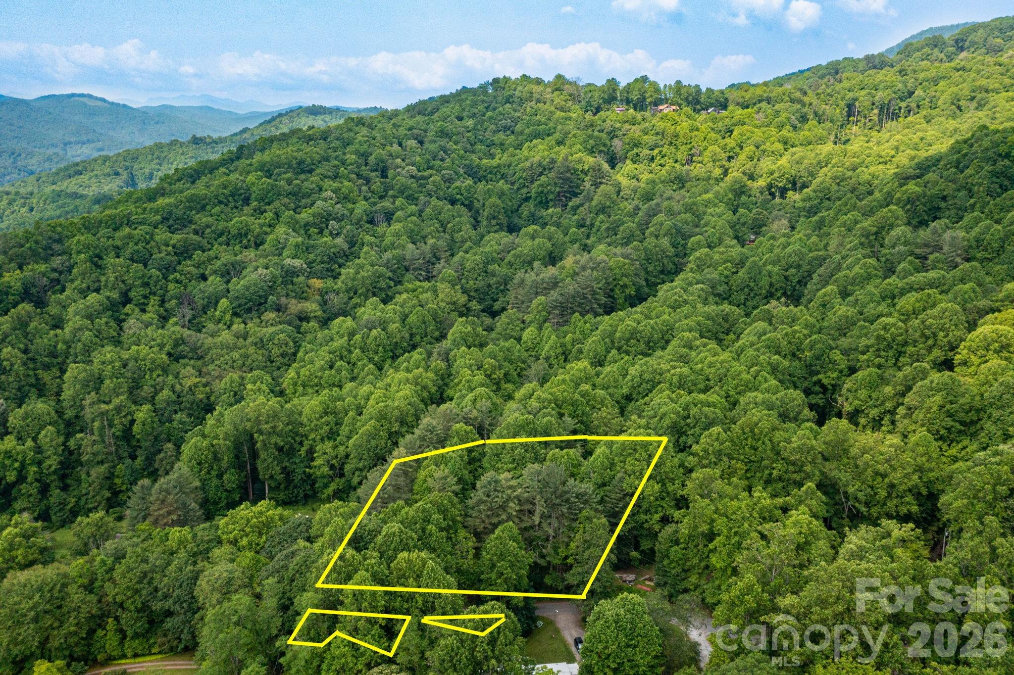 Tbd Woodfin Road Sylva, NC 28779 - Photo 18 of 21