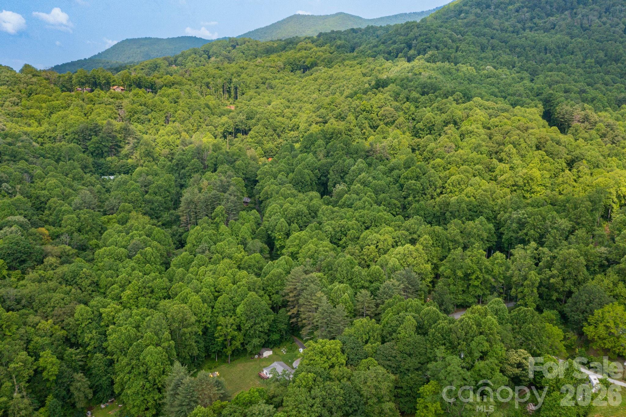 Tbd Woodfin Road Sylva, NC 28779 - Photo 21 of 21