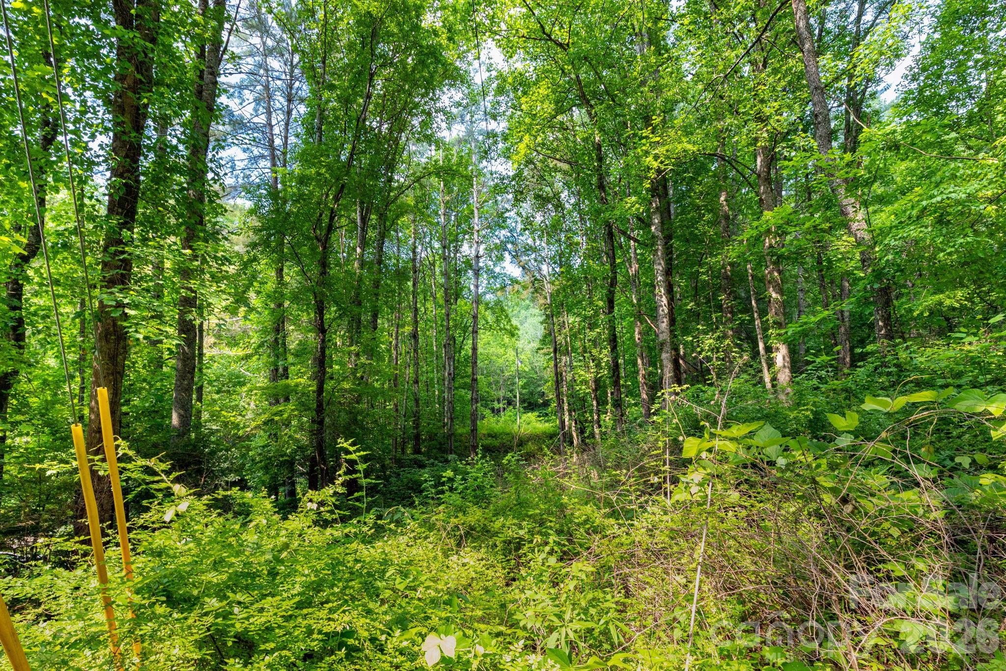 Tbd Woodfin Road Sylva, NC 28779 - Photo 6 of 21