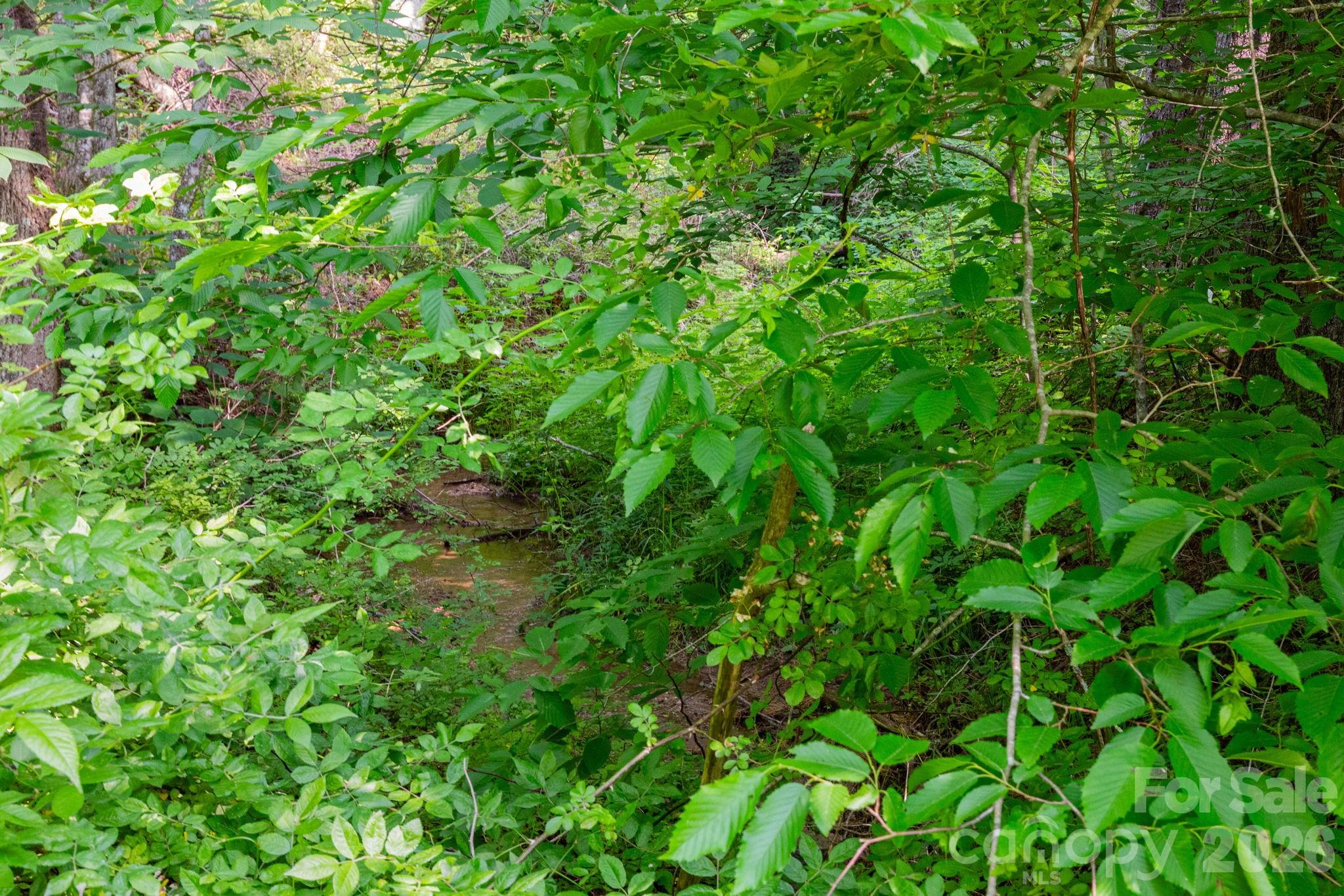 Tbd Woodfin Road Sylva, NC 28779 - Photo 7 of 21