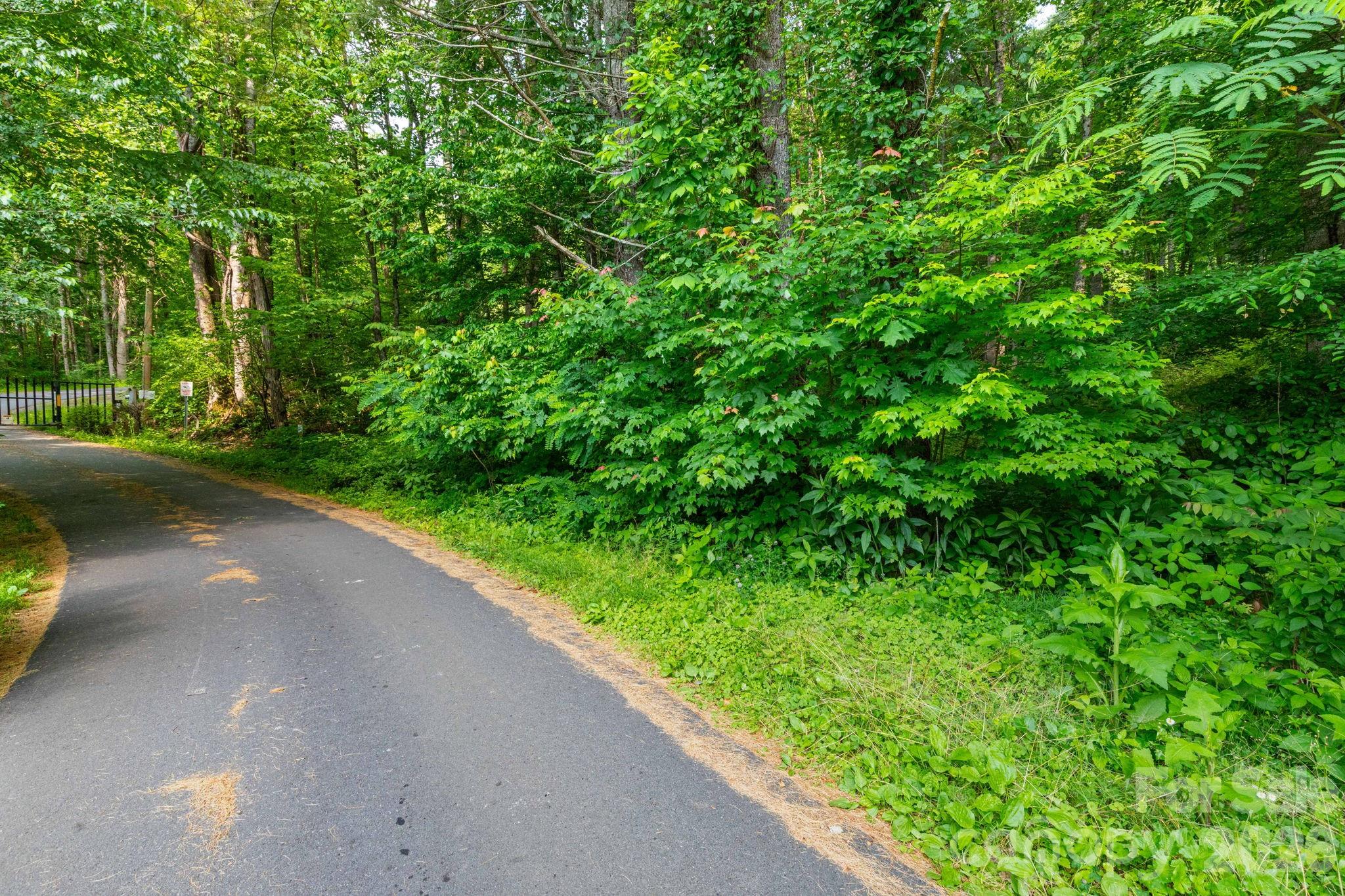 Tbd Woodfin Road Sylva, NC 28779 - Photo 8 of 21