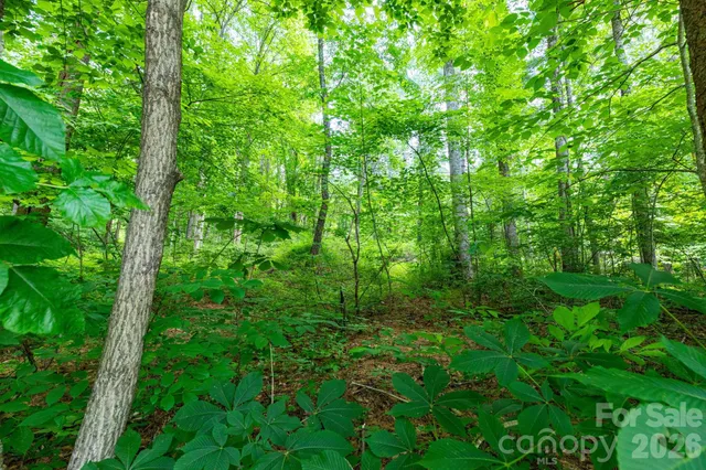 $100,000 | Tbd Woodfin Road, Sylva, NC 28779