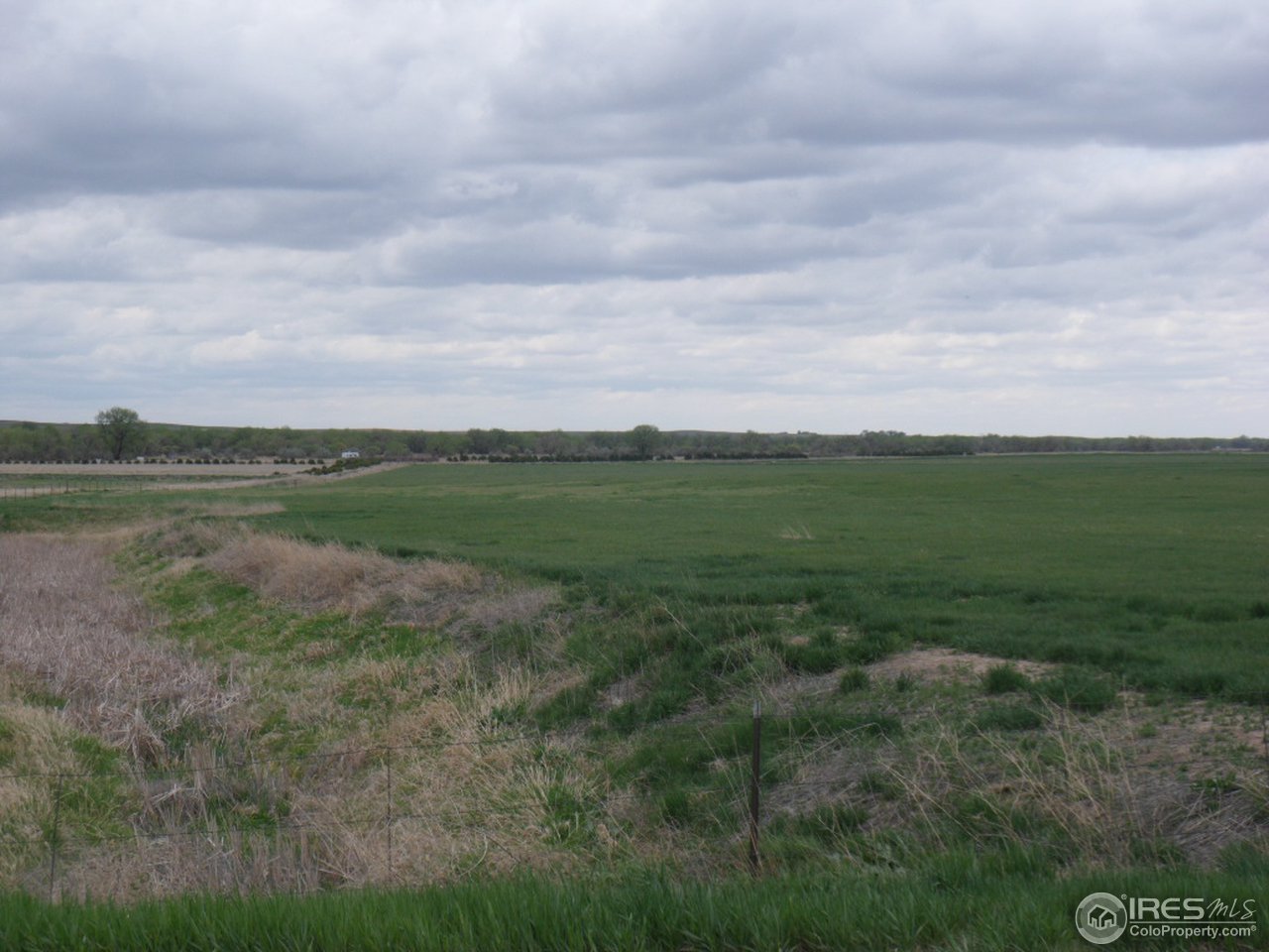 144 County Road West Weldona, CO 80653 - Photo 4 of 14 Gallery Image 4