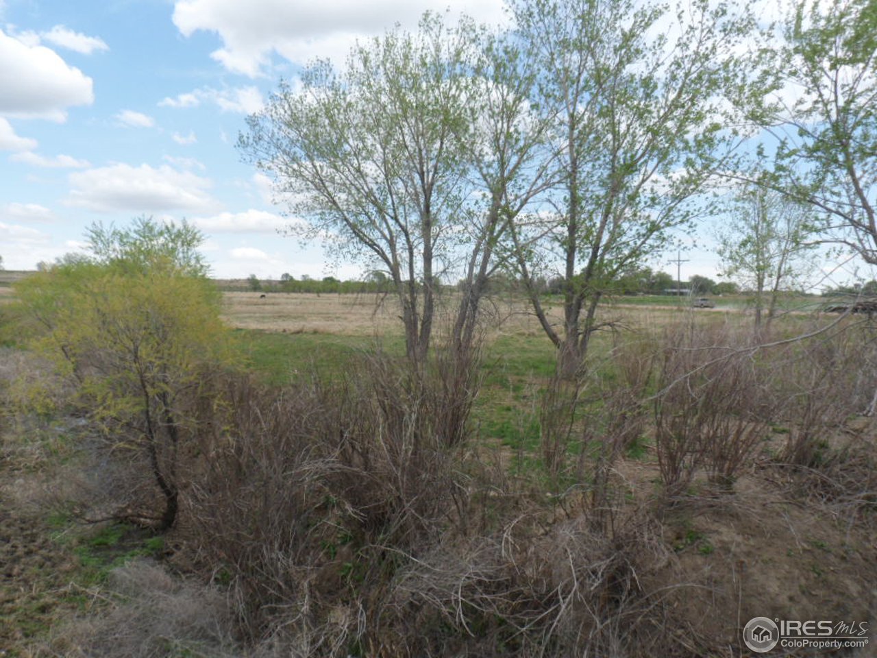 144 County Road West Weldona, CO 80653 - Photo 6 of 14 Gallery Image 6
