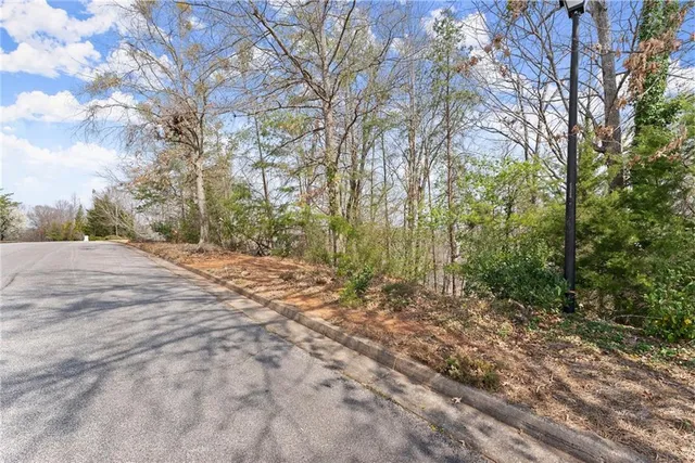 a view of backyard with green space