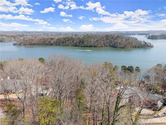 a view of a lake in middle of forest