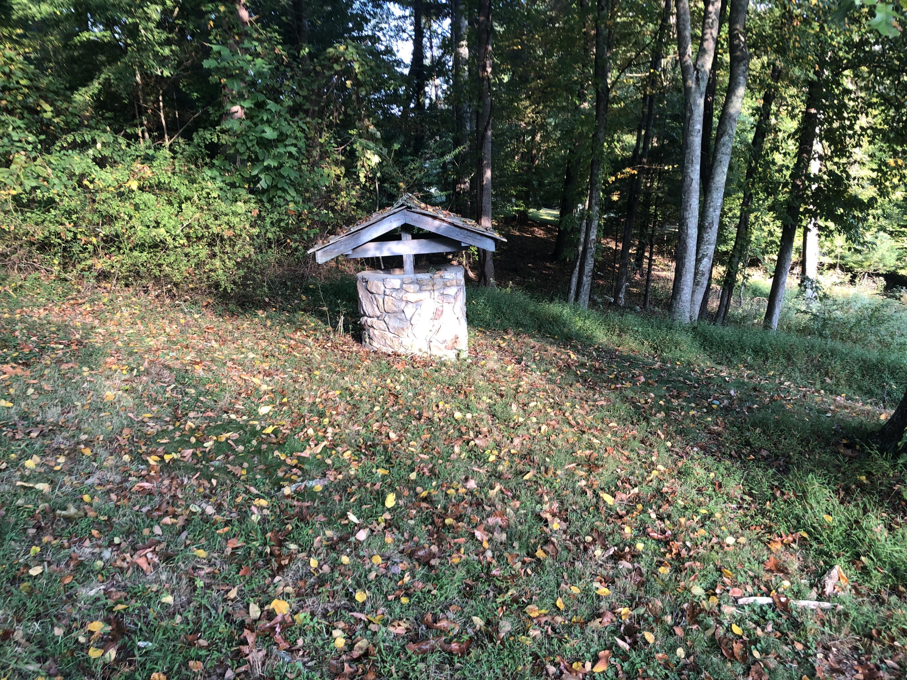170 Wolfe Lane Butler, TN 37640 - Photo 33 of 34 IMG_3229