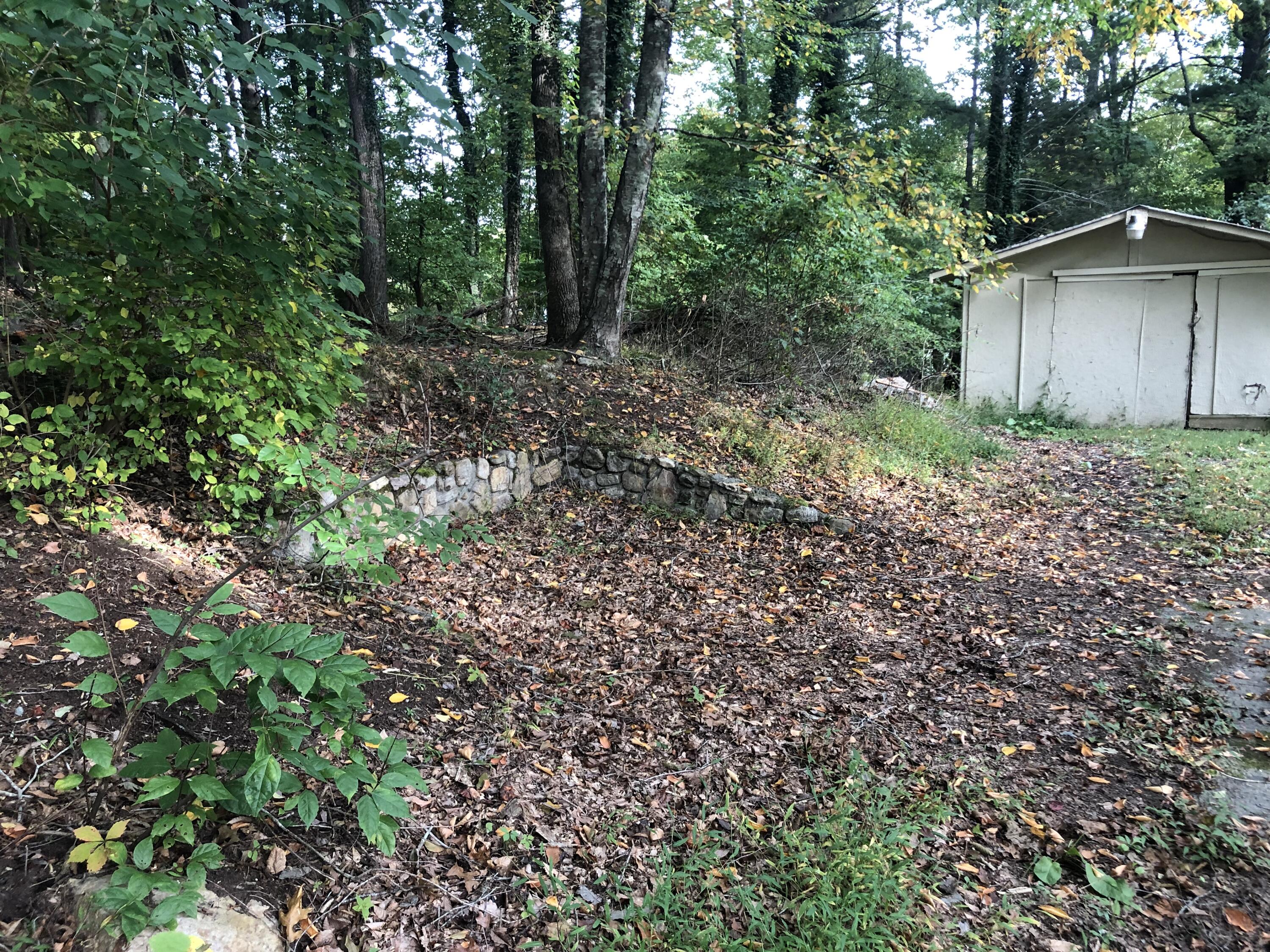 170 Wolfe Lane Butler, TN 37640 - Photo 10 of 34 IMG_3192
