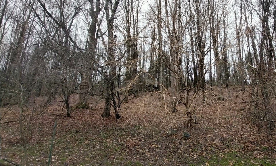 4452 Long Hill Road Moravia, NY 13118 - Photo 31 of 32