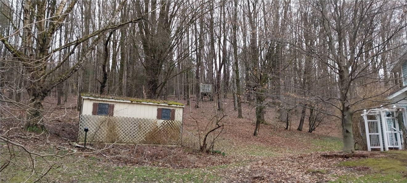 4452 Long Hill Road Moravia, NY 13118 - Photo 7 of 32