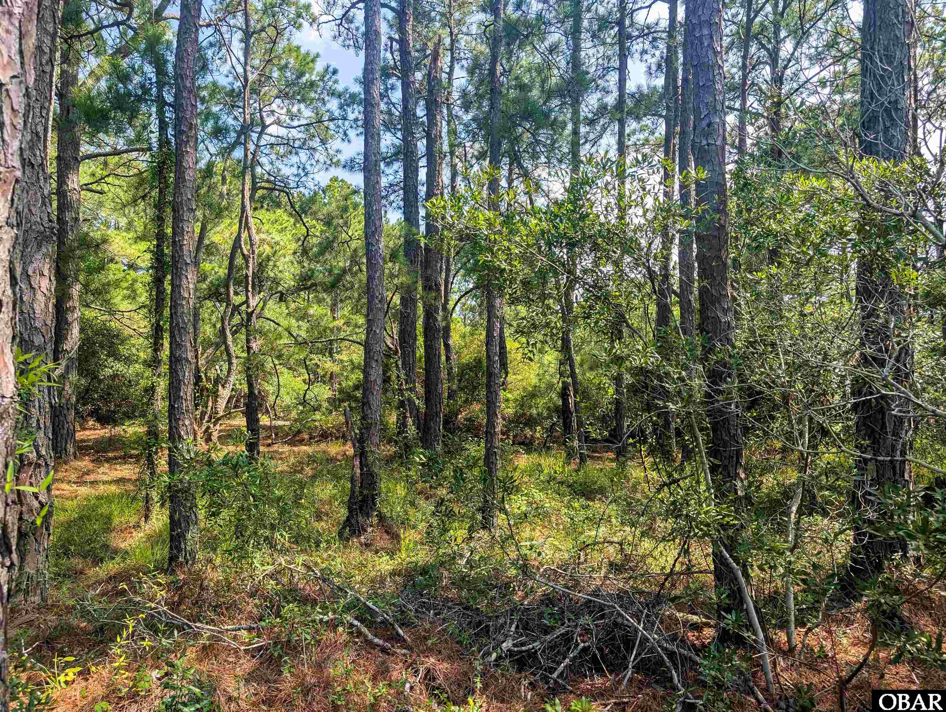 2364 Swan Island Road Corolla, NC 27927 - Photo 5 of 8