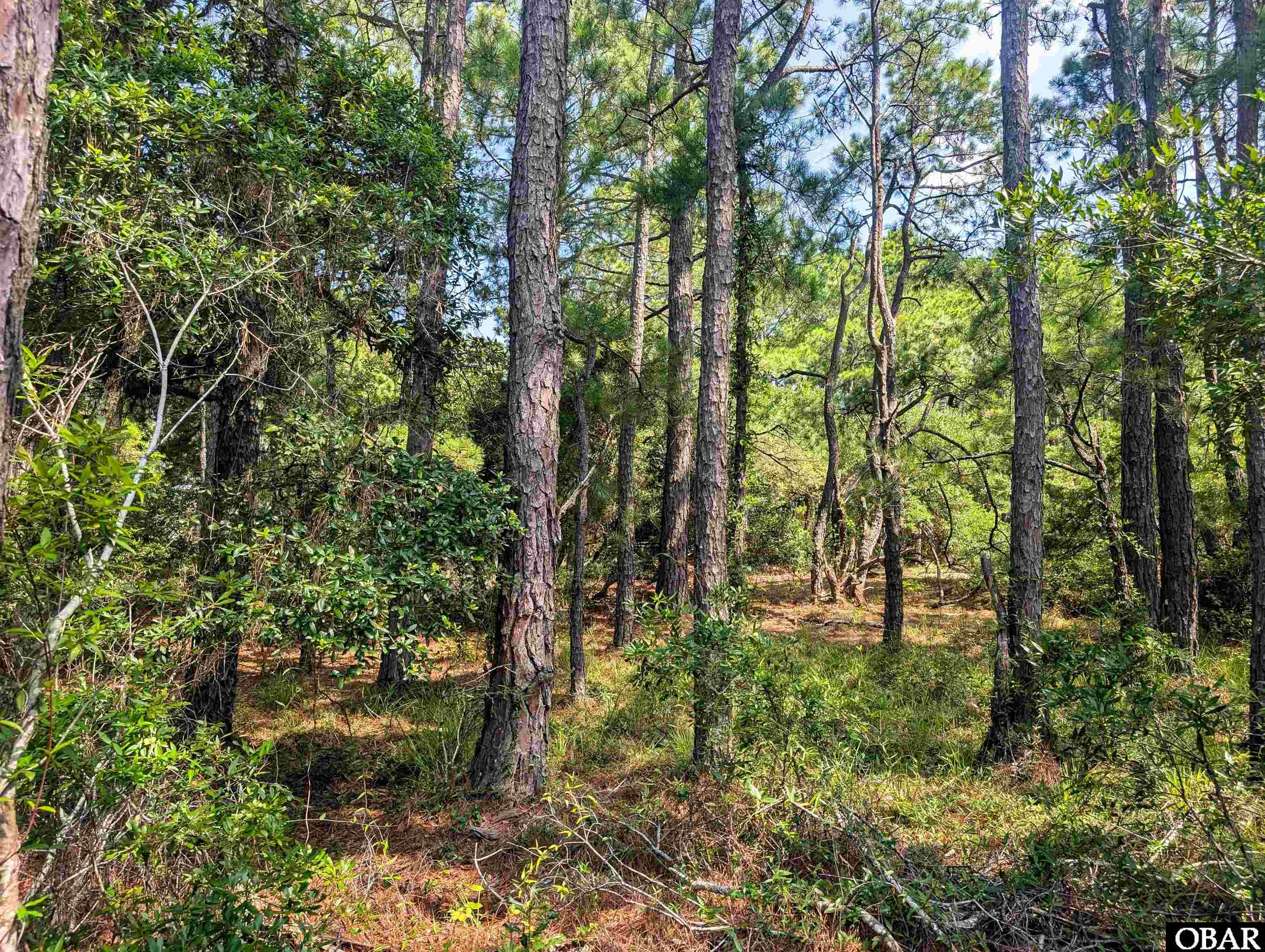 2364 Swan Island Road Corolla, NC 27927 - Photo 6 of 8