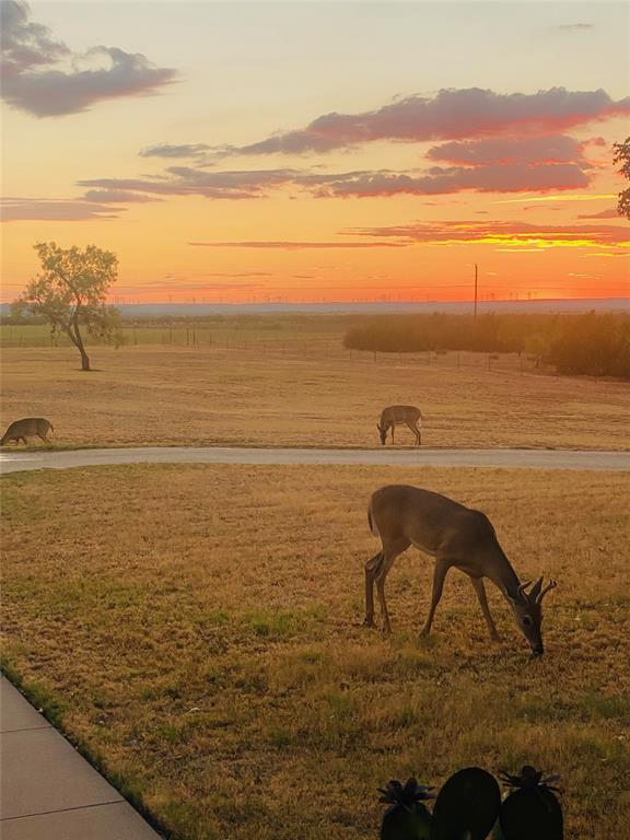 401 County Road 359, Unit B Merkel, TX 79536 - Photo 36 of 40