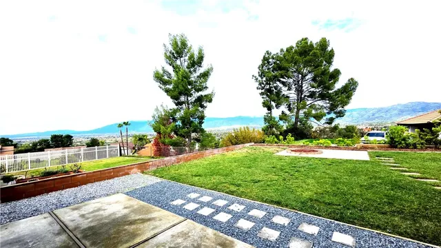 a view of a yard with flower plants