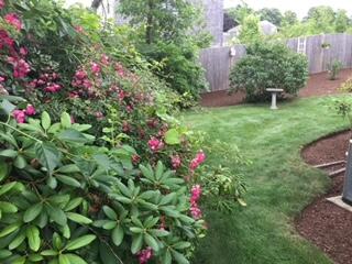 21 Samoset Road Harwich, MA 02645 - Photo 30 of 31 IMG_2703