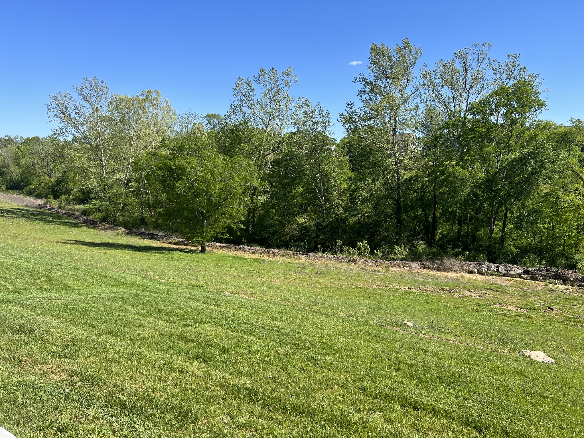 3613 Banner Road Columbia, TN 38401 - Photo 4 of 20 Gallery Image 4