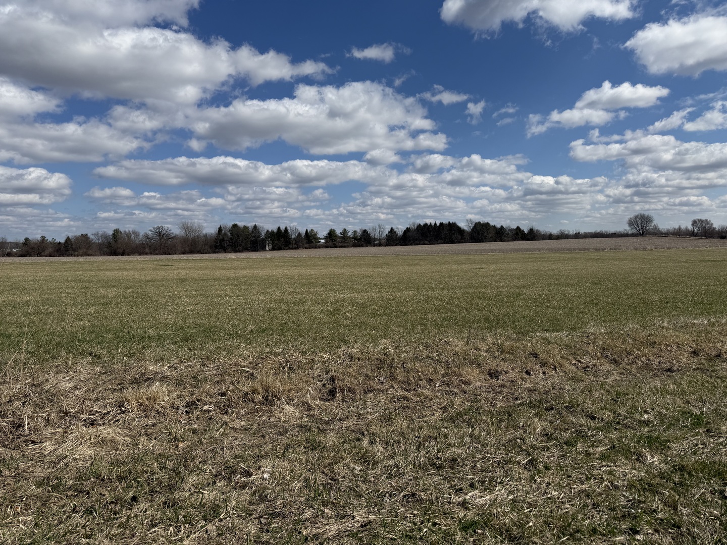 Lot A Lenz Road Elgin, IL 60124 - Photo 5 of 11 Gallery Image 5