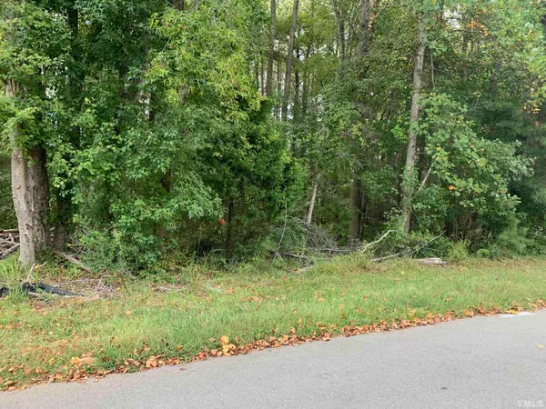 a view of backyard with green space