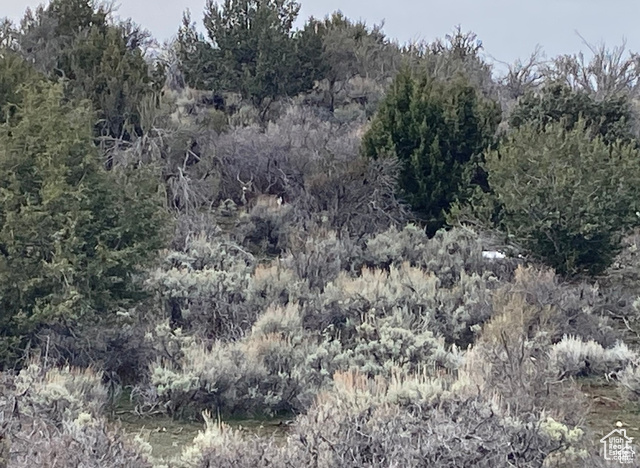 825 East 800th Street South Fillmore, UT 84631 - Photo 15 of 18