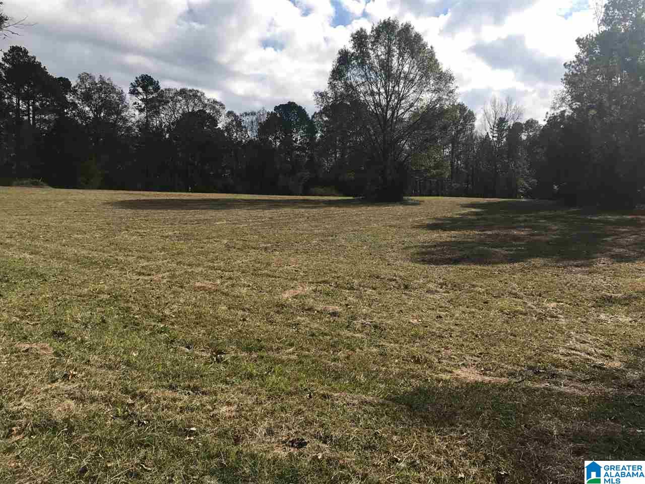 3415 Logan Martin Dam Road, Unit 48 / ACRES Vincent, AL 35178 - Photo 14 of 32