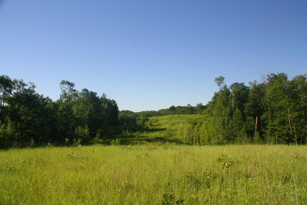 Xxx Holt Road Cushing, MN 56443 - Photo 1 of 1