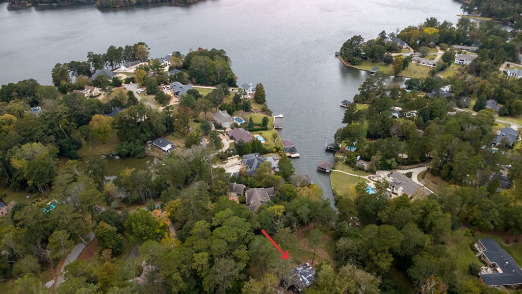 222 Cascade Road Columbus, GA 31904 - Photo 6 of 7 a picture of tree