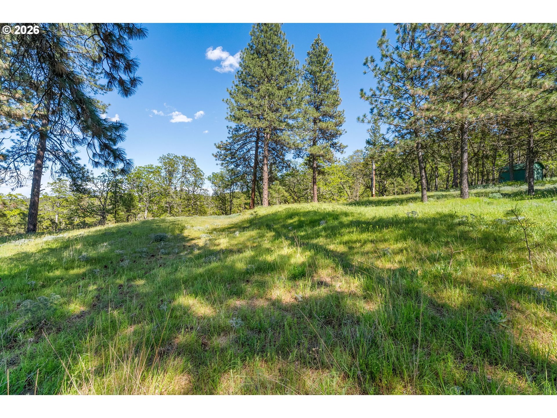 370 Rowland Road Lyle, WA 98635 - Photo 19 of 26 Gallery Image 19