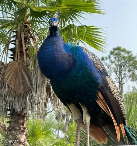 $775,000 | 6831 Tropical Lane, Bokeelia, FL 33922