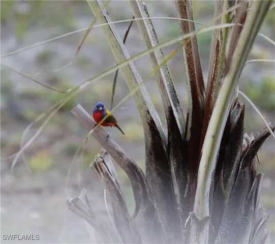 $775,000 | 6831 Tropical Lane, Bokeelia, FL 33922