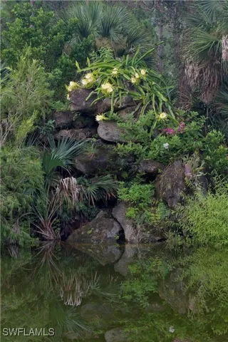 a view of a small yard in front of a house with a small yard