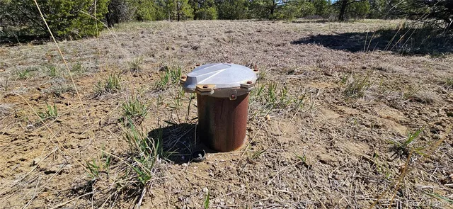 a view of a pathway with a yard