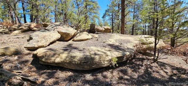 a view of outdoor space and garden
