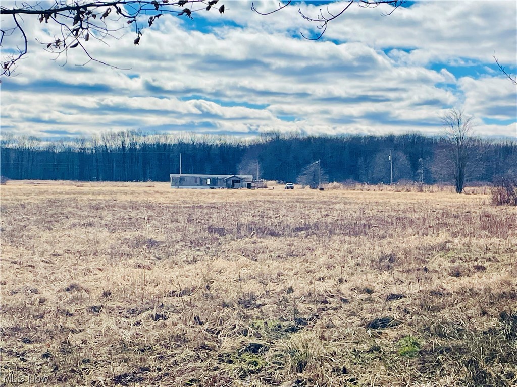 4131 Stollacker Road Jefferson, OH 44047 - Photo 29 of 29 view from woodline of back of mobile home
