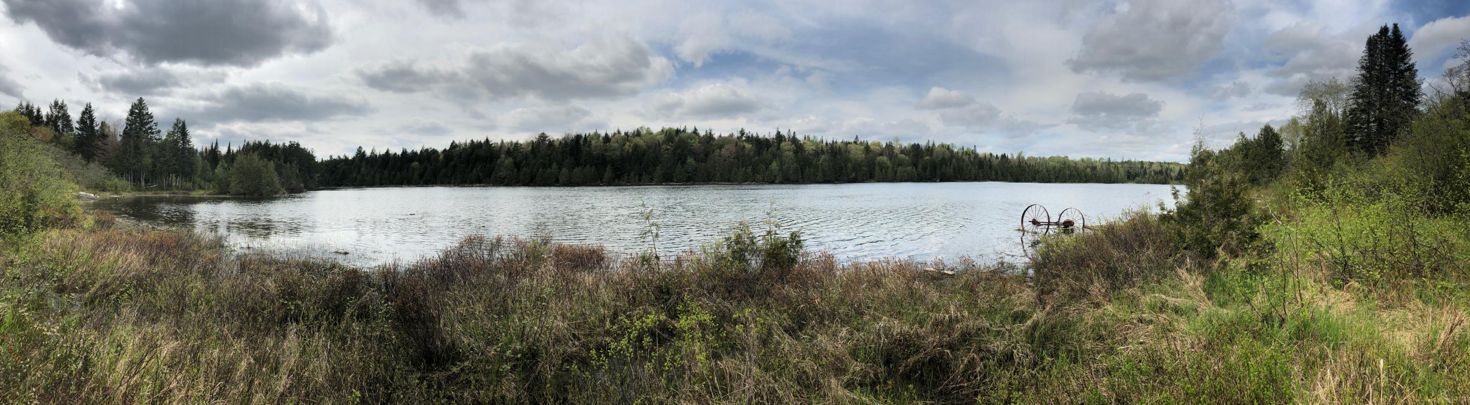 7 East Russell Pond Road South Houlton, ME 04730 - Photo 23 of 28 Shoreline View I (Hunt Russell Pond)
