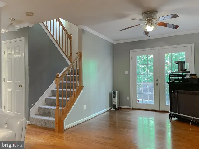 a white toilet sitting next to a shower curtain