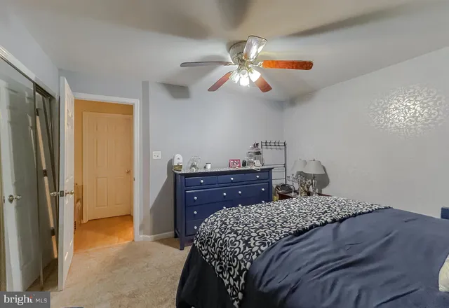 a view of a lake from a yard