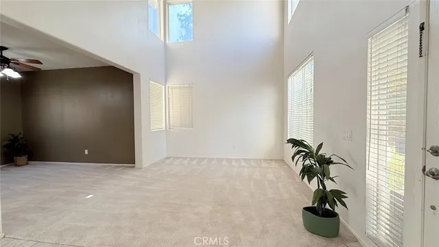 a view of a potted plant in a room