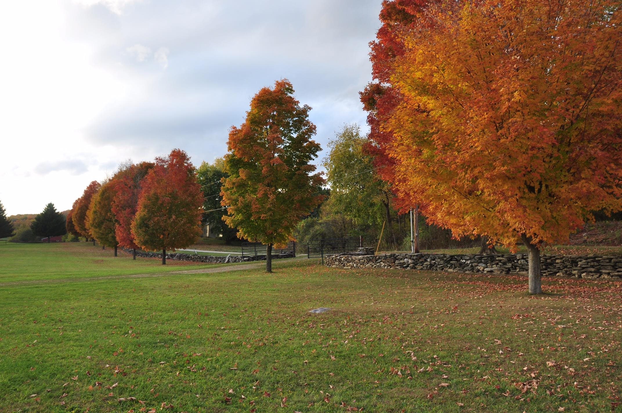 2167 Myers Road Shaftsbury, VT 05257 - Photo 48 of 51 Gallery Image 48