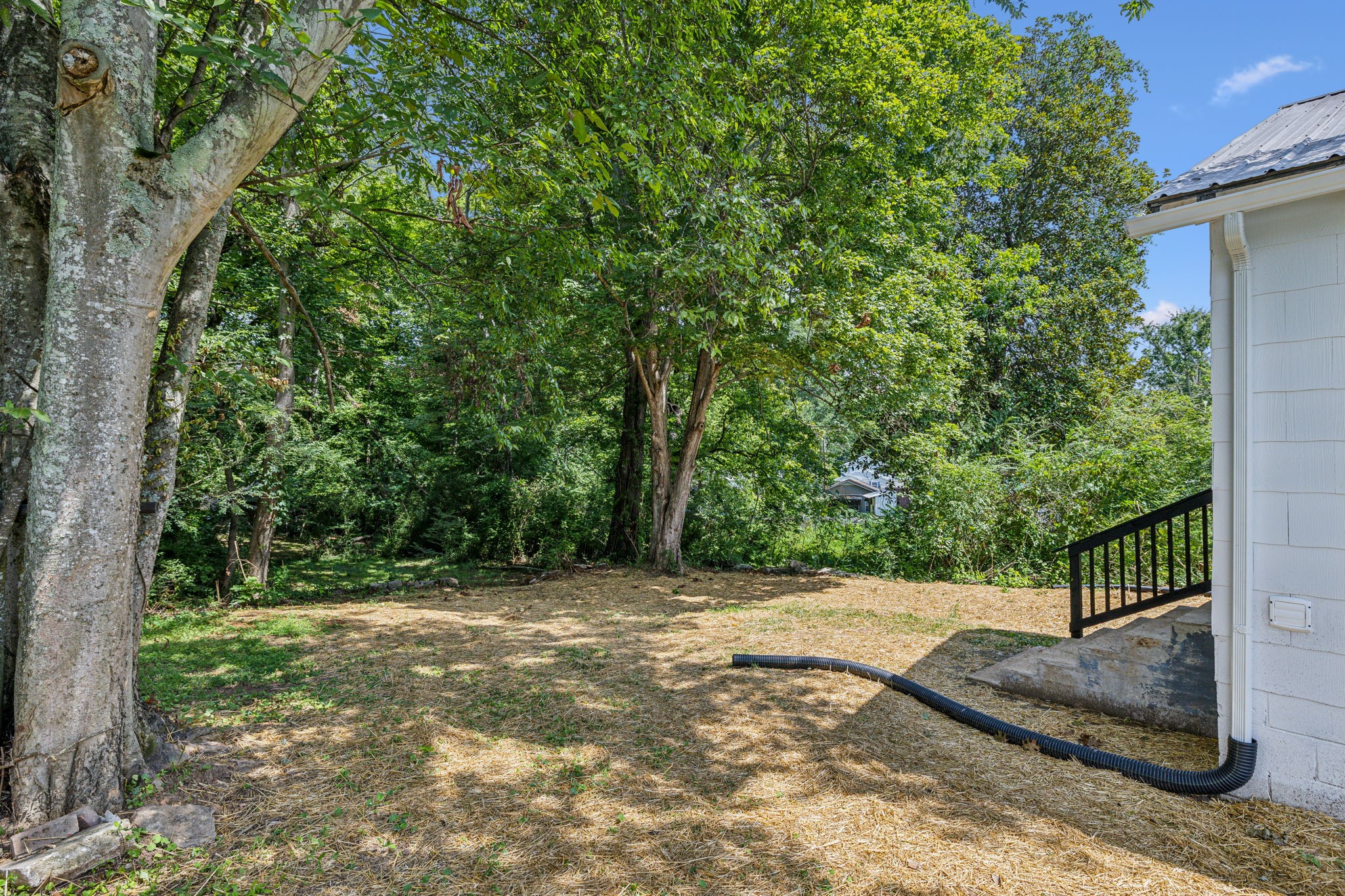 111 Riverside Drive Centerville, TN 37033 - Photo 22 of 27 Large wooded backyard, partially fenced with lots of privacy.