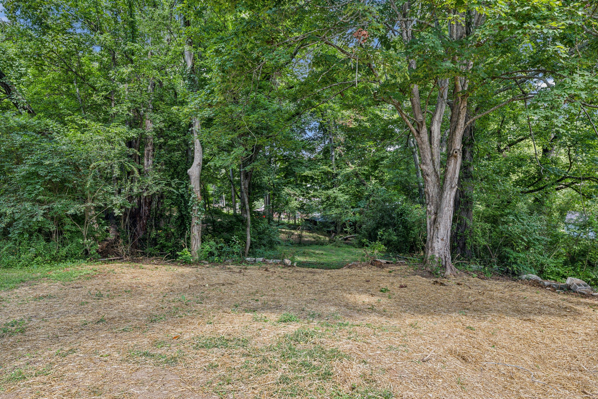 111 Riverside Drive Centerville, TN 37033 - Photo 26 of 27 Gallery Image 26