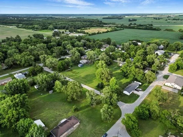 an aerial view of green landscape with trees houses and mountain view