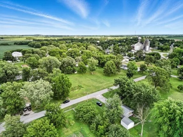 a view of a green field with lots of bushes