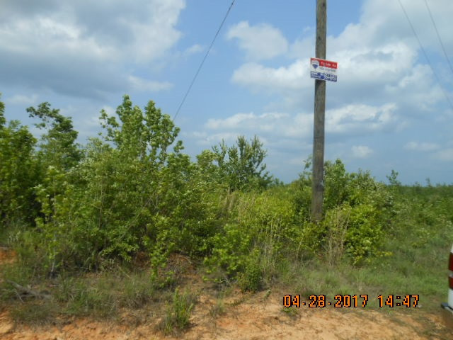 0 Mitchell Road Weir, MS 39772 - Photo 1 of 4 Photo 1